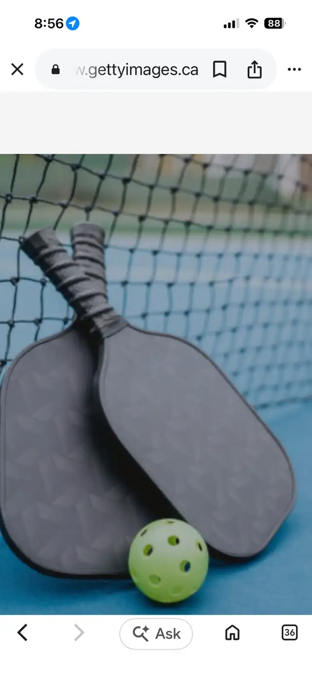 Introductory Pickleball Lessons
