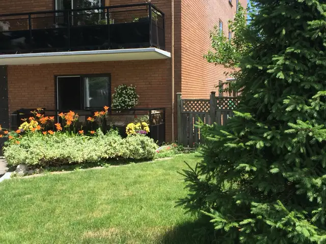 1 Bedroom renovated Mountain