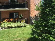 1 Bedroom renovated Mountain