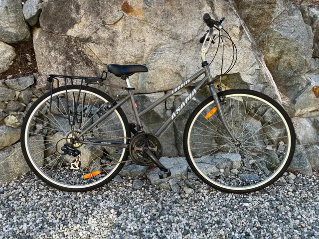 Asama Luddite Bicycle