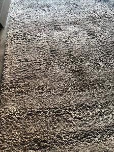 Carpet (Ashley grey, Belgium) from Costco 240X320 - Photo 4