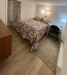 New 1 bedroom basement apt Fully Furnished & Equipped - Photo 6