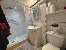 New 1 bedroom basement apt Fully Furnished & Equipped - Photo 8