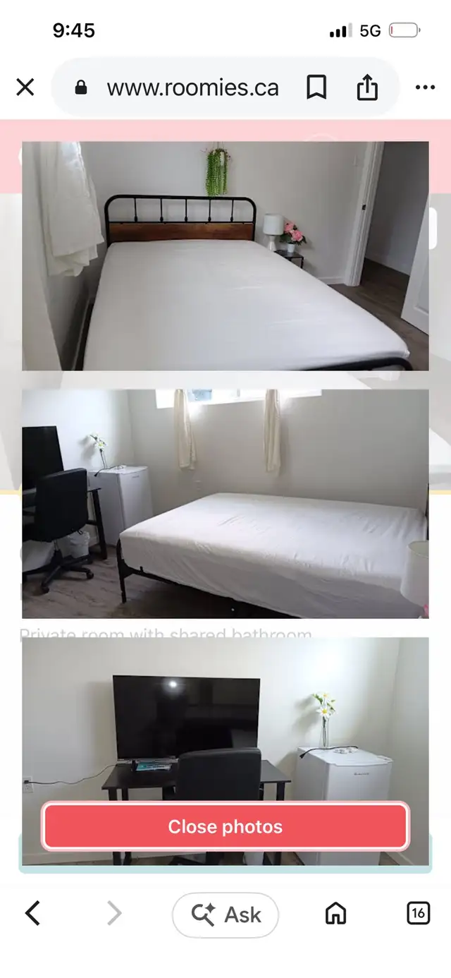 needing a room to rent that is pet friendly