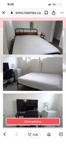needing a room to rent that is pet friendly