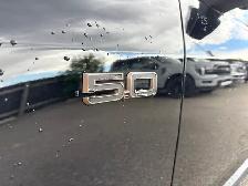 2026 Ford Mustang GT COUPE PREMIUM | BRONZE APPEARANCE PACKAGE - Photo 7