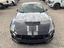 2026 Ford Mustang GT COUPE PREMIUM | BRONZE APPEARANCE PACKAGE - Photo 14