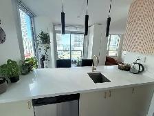Fully Furnished Condo 2Bed 2Bath Sep26 - Apr27 Downtown Toronto - Photo 3