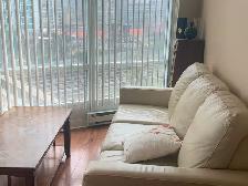 Seeking Professional Roommate at Downtown District Condo - Photo 4