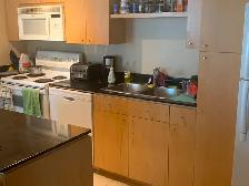 Seeking Professional Roommate at Downtown District Condo - Photo 5