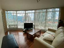 Seeking Professional Roommate at Downtown District Condo - Photo 7
