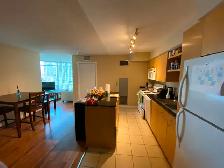 Seeking Professional Roommate at Downtown District Condo - Photo 8