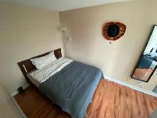 Seeking Professional Roommate at Downtown District Condo - Photo 9