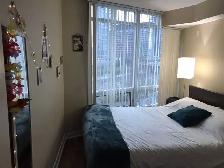 Seeking Professional Roommate at Downtown District Condo - Photo 11