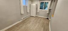 Fully Renovated Riverside and View Studio - Photo 2