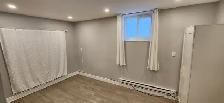 Fully Renovated Riverside and View Studio - Photo 5