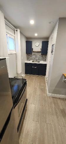 Fully Renovated Riverside and View Studio - Photo 7