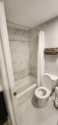 Fully Renovated Riverside and View Studio - Photo 8