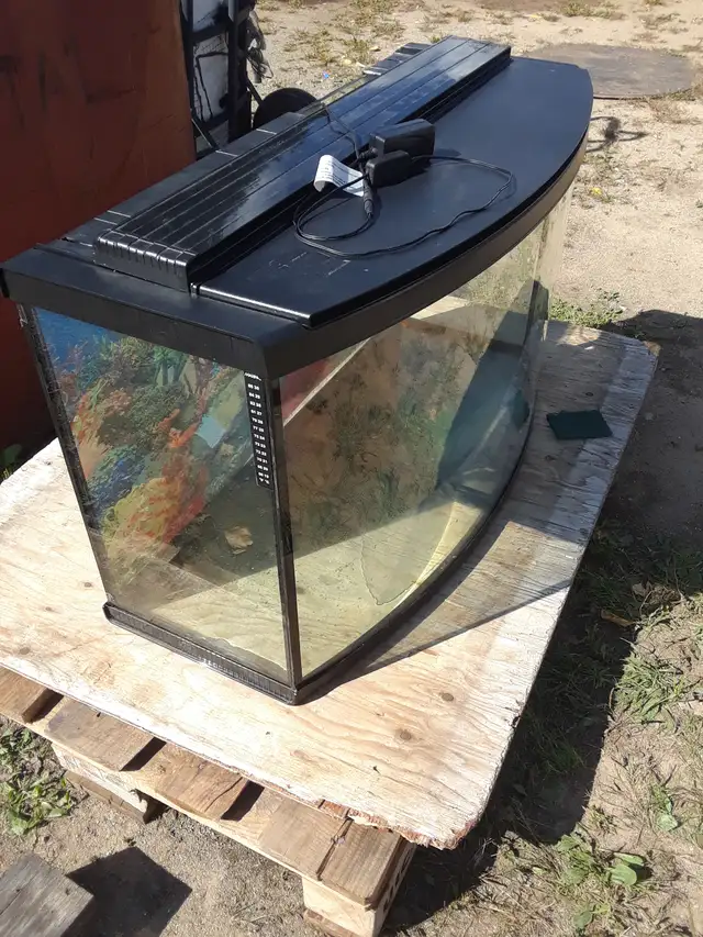 aquarium courbé a vendre  120$ avec lumirer au led