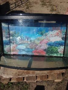 aquarium courbé a vendre  120$ avec lumirer au led - Photo 4