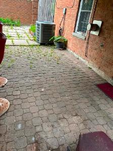 Spacious 2-Bed 1 bath Apartment w/Backyard & Separate Entrance - Photo 7