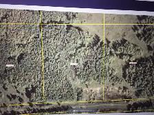 PRIVATE 4.5 acre lot