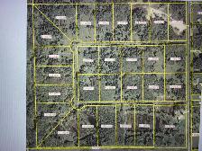 PRIVATE 4.5 acre lot - Photo 2
