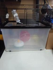 New hamster gage with accessory's buy for $50.00 - Photo 2