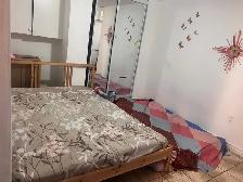 WALKOUT BASEMENT (1BHK)FOR RENT IN MALTON - Photo 8