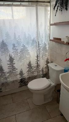 4-1/2 appartment for rent in Longueuil - Photo 3