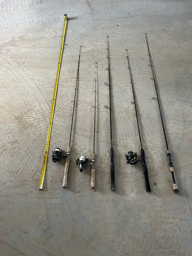 fishing pole and reel