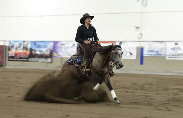 Horse Training