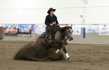 Horse Training