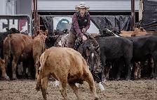 Horse Training - Photo 3