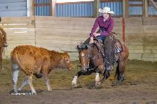 Horse Training - Photo 4