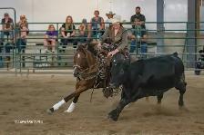 Horse Training - Photo 5