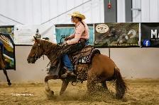 Horse Training - Photo 6