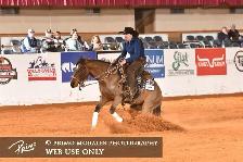 Horse Training - Photo 7