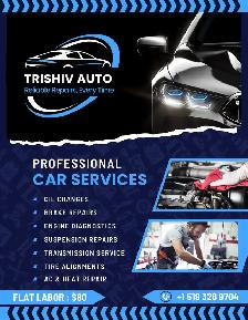 Auto detailing.  And diagnostic.  For 80 by licensed tech