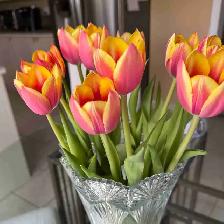 Live-in Caregiver/ PSW needed immediately