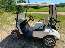 2021 ego ex1 gas golf cart - Photo 2