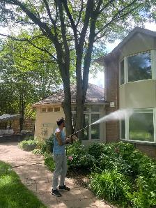Window Cleaning - Power Washing - Gutter Cleaning - Book Today! - Photo 3
