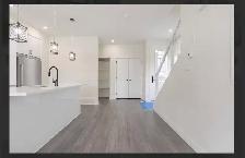Brand New Luxury 3B 2.5 bath - Photo 7