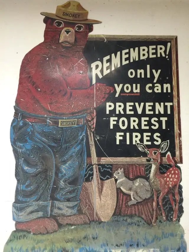 SASK PICKER PURCHASING ANTIQUES AND COLLECTIBLES-NELSON