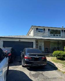 Basement for rent in Malton