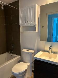1B D corner unit, XLG Balcony @  DNA3 available for rent  $2750 - Photo 9