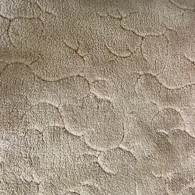 FREE CARPET  - Used carpet - suitable for a rumpus room.