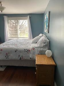 Modern, Spacious and Bright - Photo 6