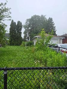lawn care - Photo 2