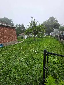lawn care - Photo 3
